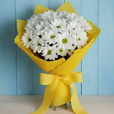 Букет цветов из:  Хризантемы в Каменке Архангельской области