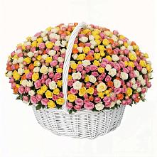 Премиум букет из: Розы в Каменке Архангельской области