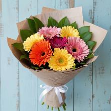 Букет цветов из:  Герберы в Каменке Архангельской области