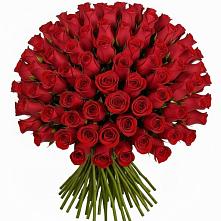 Букет Красные розы Чери Лав в Каменке Архангельской области